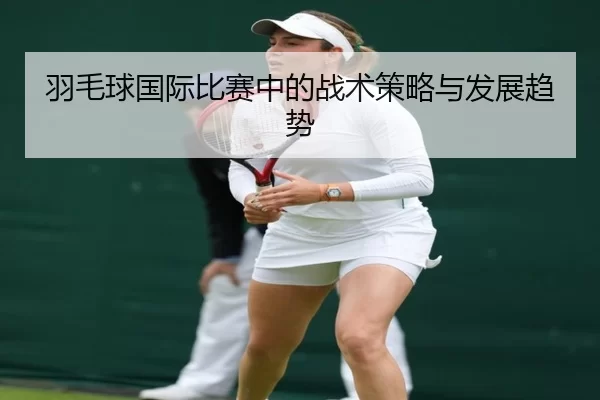 羽毛球国际比赛中的战术策略与发展趋势